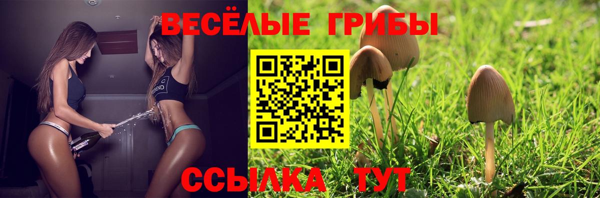 Псилоцибиновые грибы Psilocybe Красный Сулин