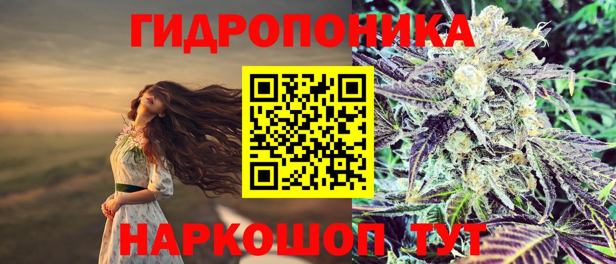 Красный Сулин  Конопля сатива  Вход с VPN  Бошки Шишки планчик  Каннабис VHQ 